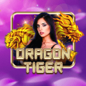 ezjili Dragon Tiger